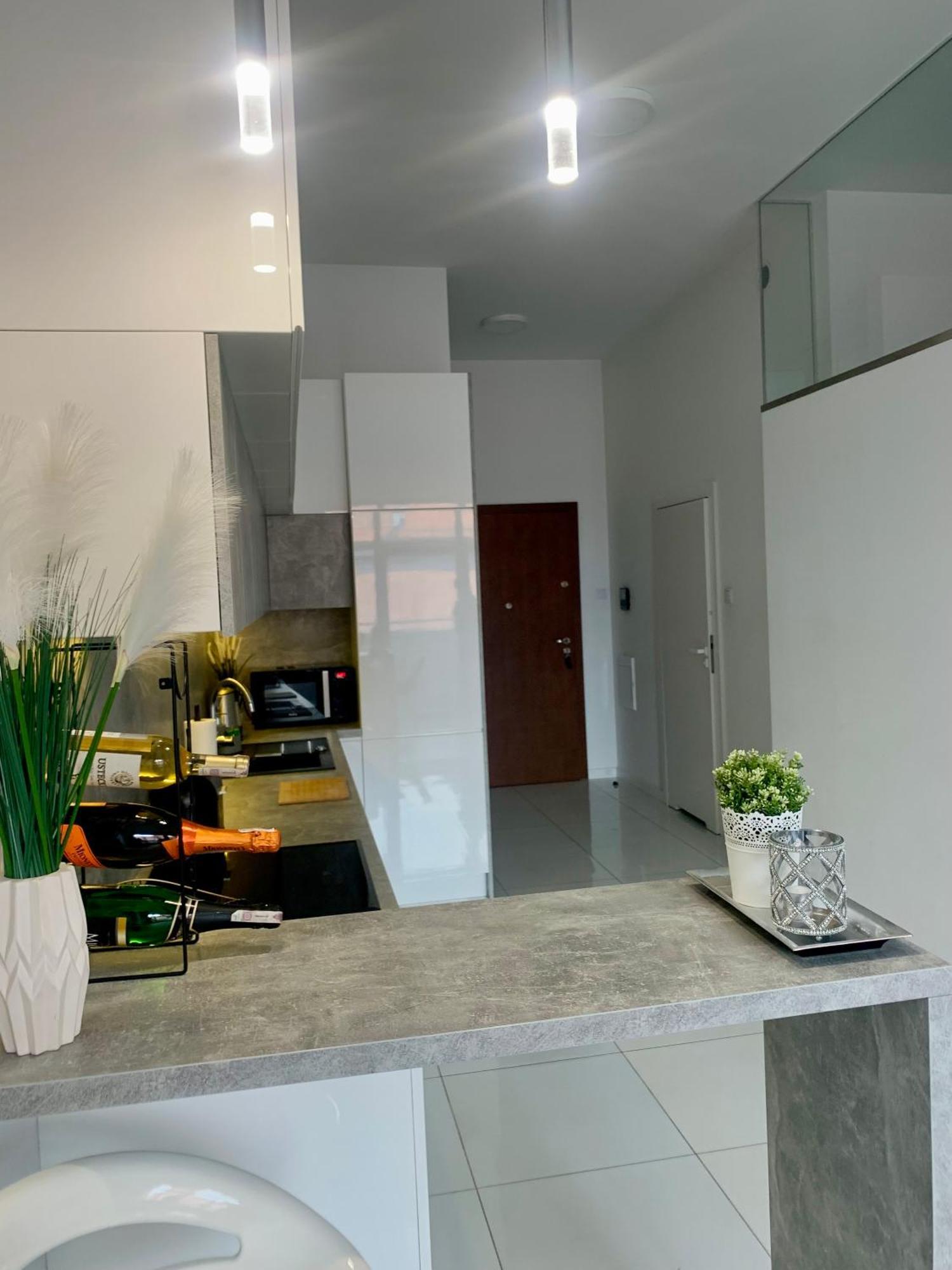 Appartement Ekskluzywny Loft Tymienieckiego à Łódź Extérieur photo